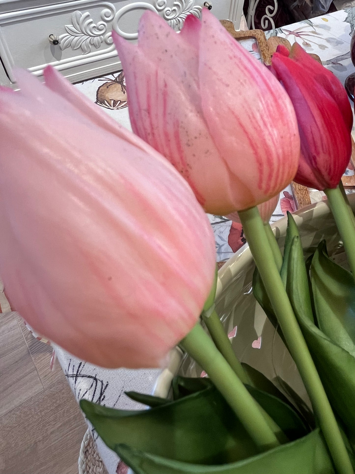 EDG Tulipani Olis Assortiti