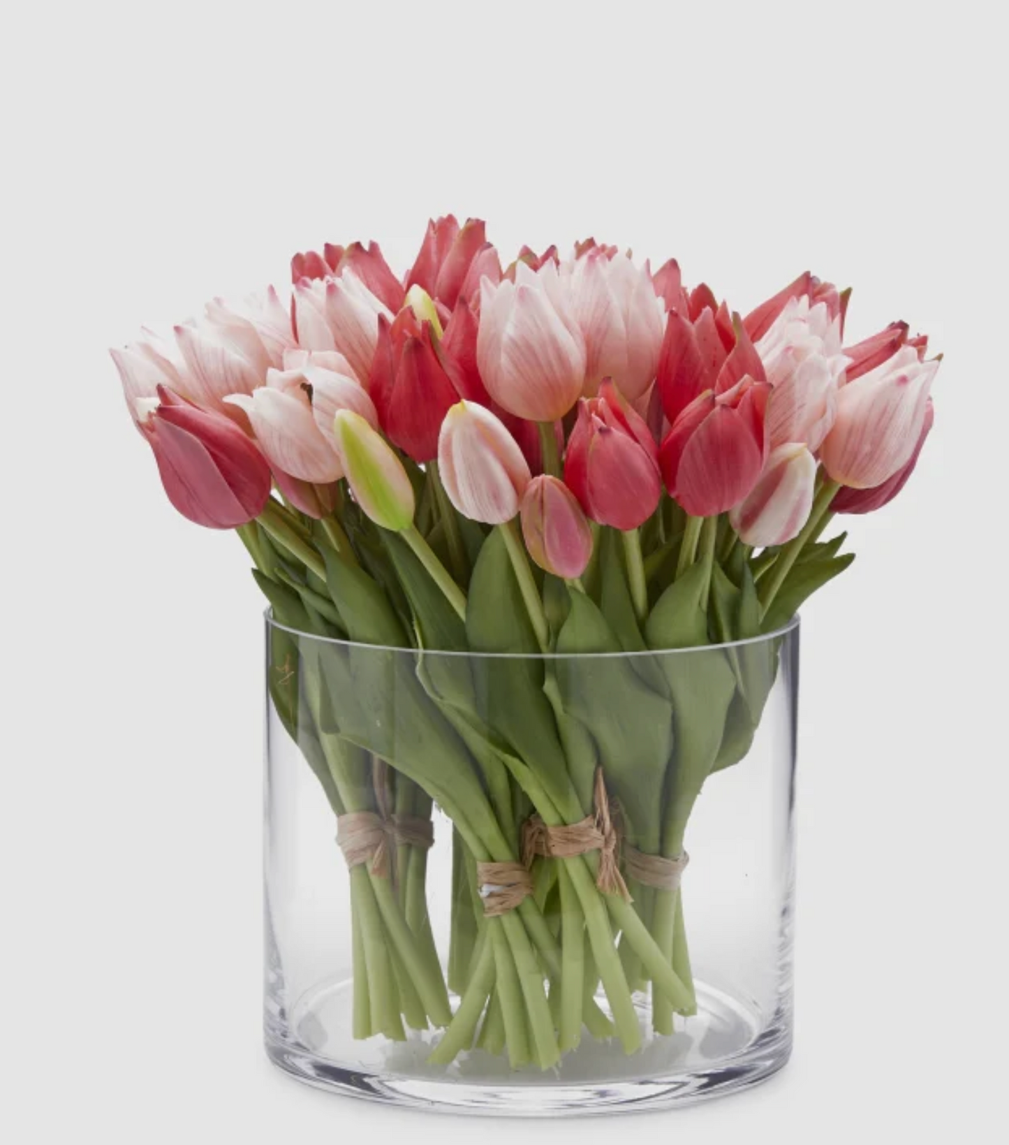 EDG Tulipani Olis Assortiti
