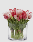 EDG Tulipani Olis Assortiti