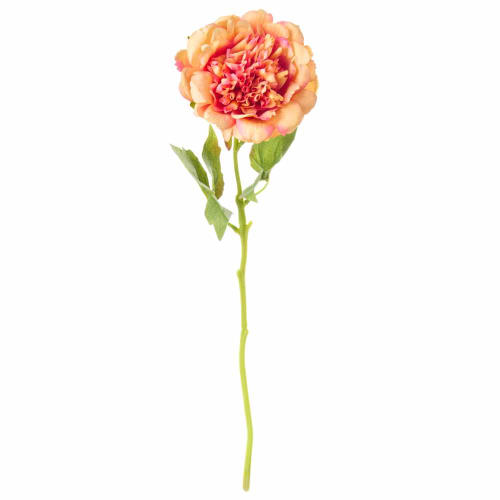 Nuvole di Stoffa - Peonia Albicocca Magenta