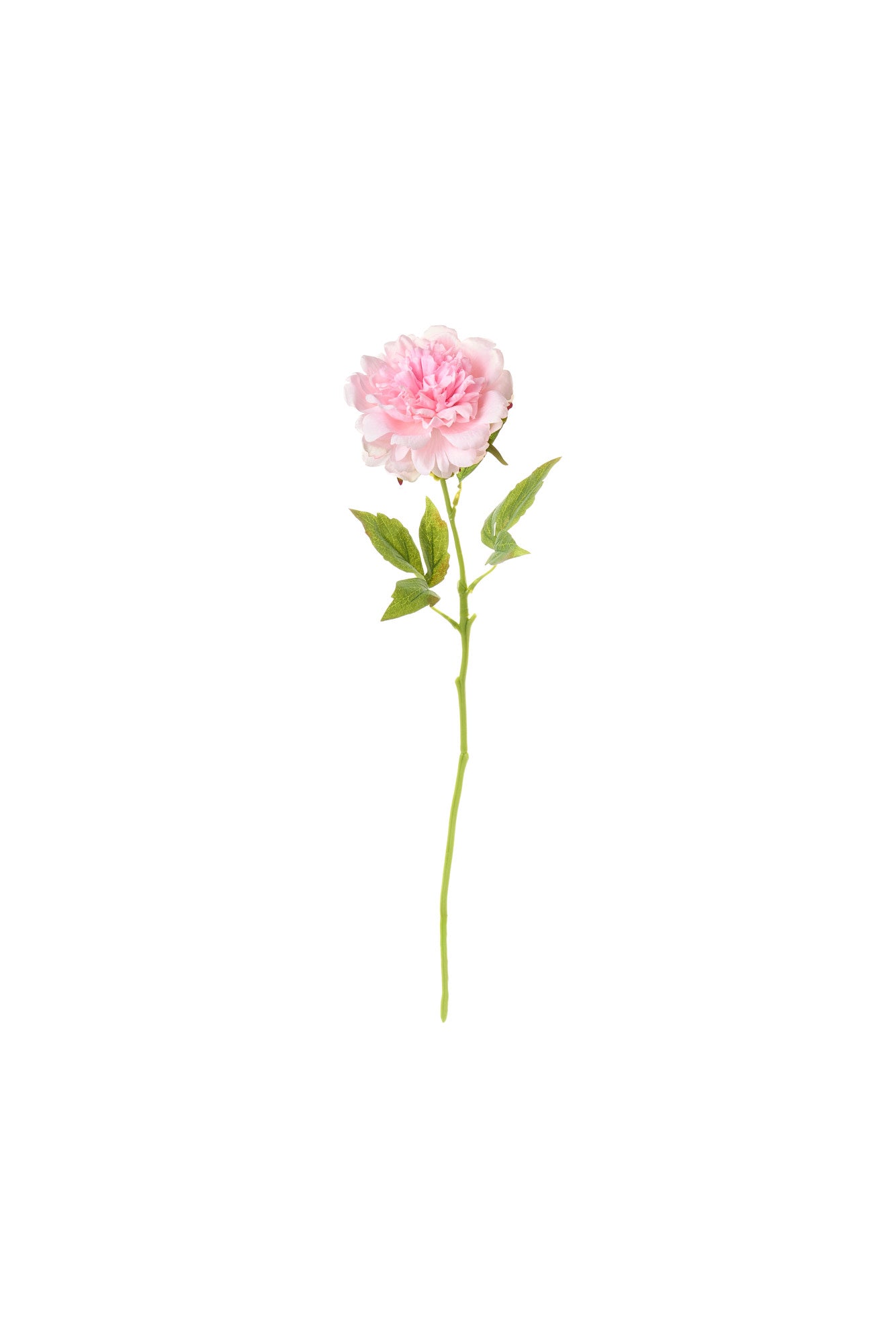 Nuvole di Stoffa - Peonia Rosa