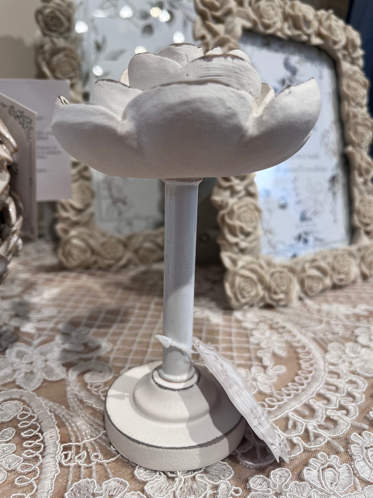 Coccole di Casa fermatenda