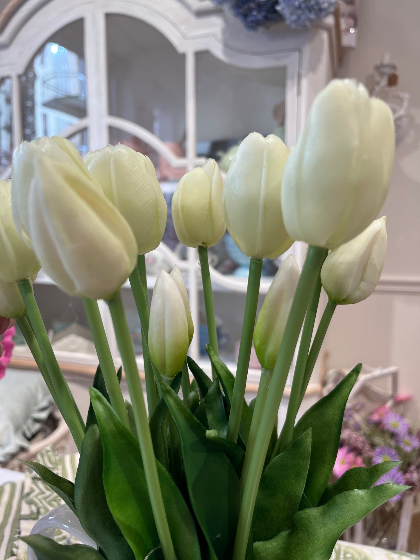 EDG Tulipani Olis