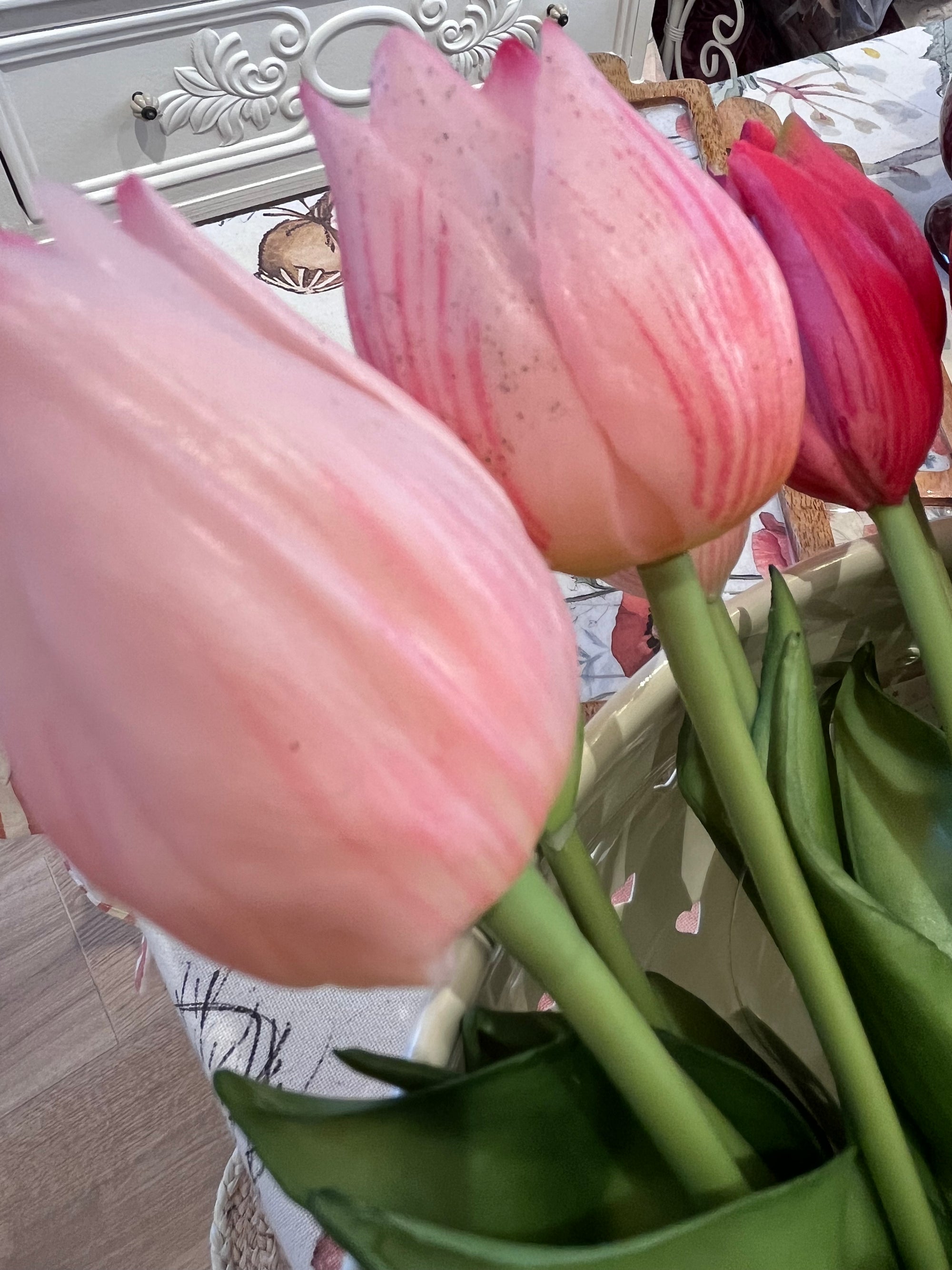 EDG Tulipani Olis Assortiti