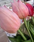 EDG Tulipani Olis Assortiti