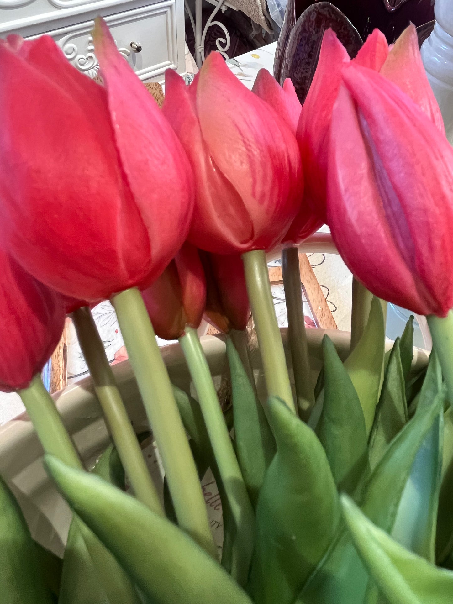 EDG Tulipani Olis Assortiti
