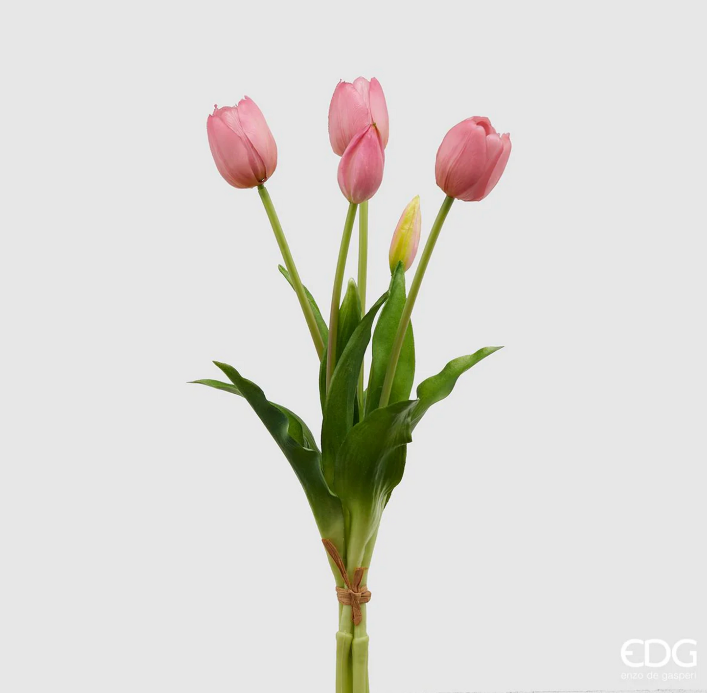 EDG Tulipani Olis