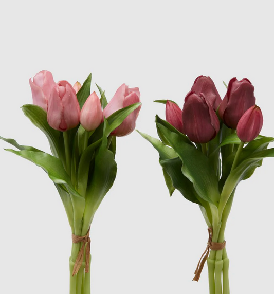 EDG Tulipani