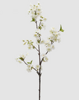 EDG - Ramo di Ciliegio Bianco