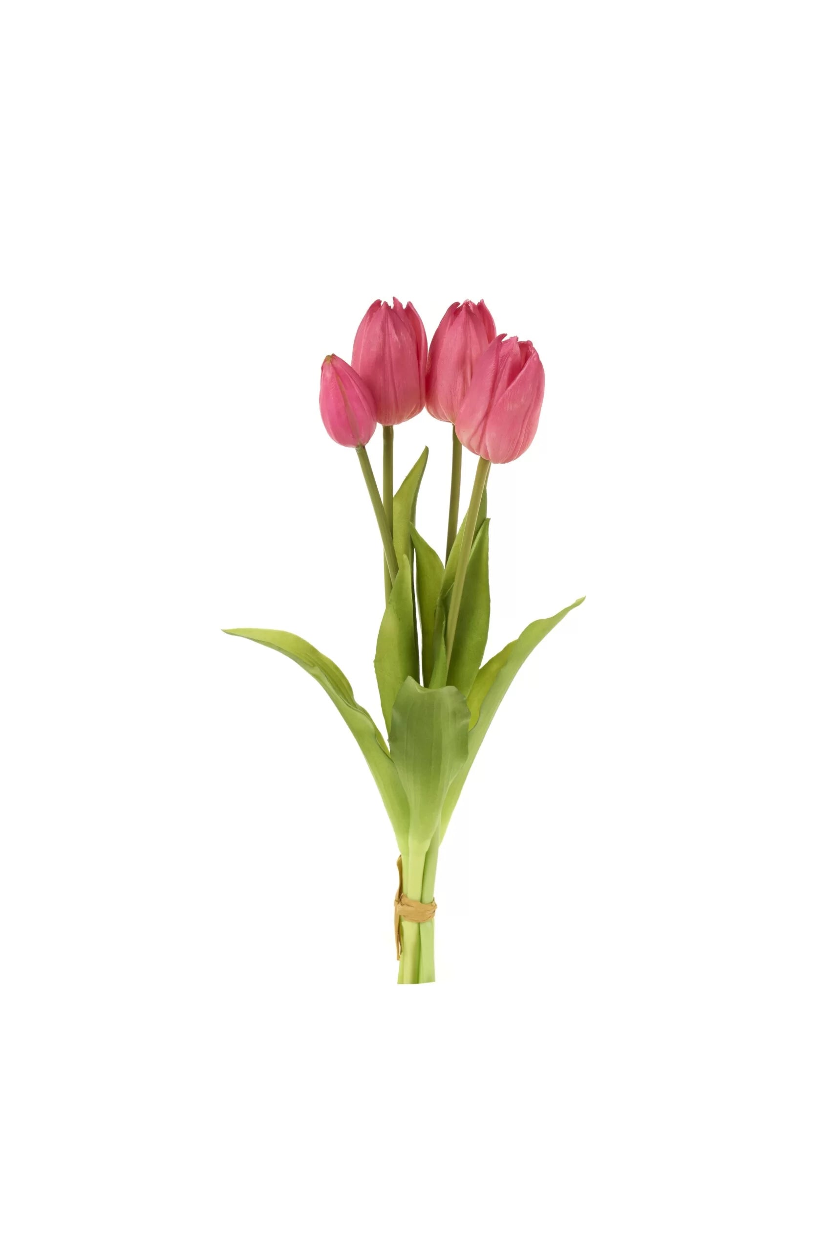 Nuvole di Stoffa - Tulipani Real Touch