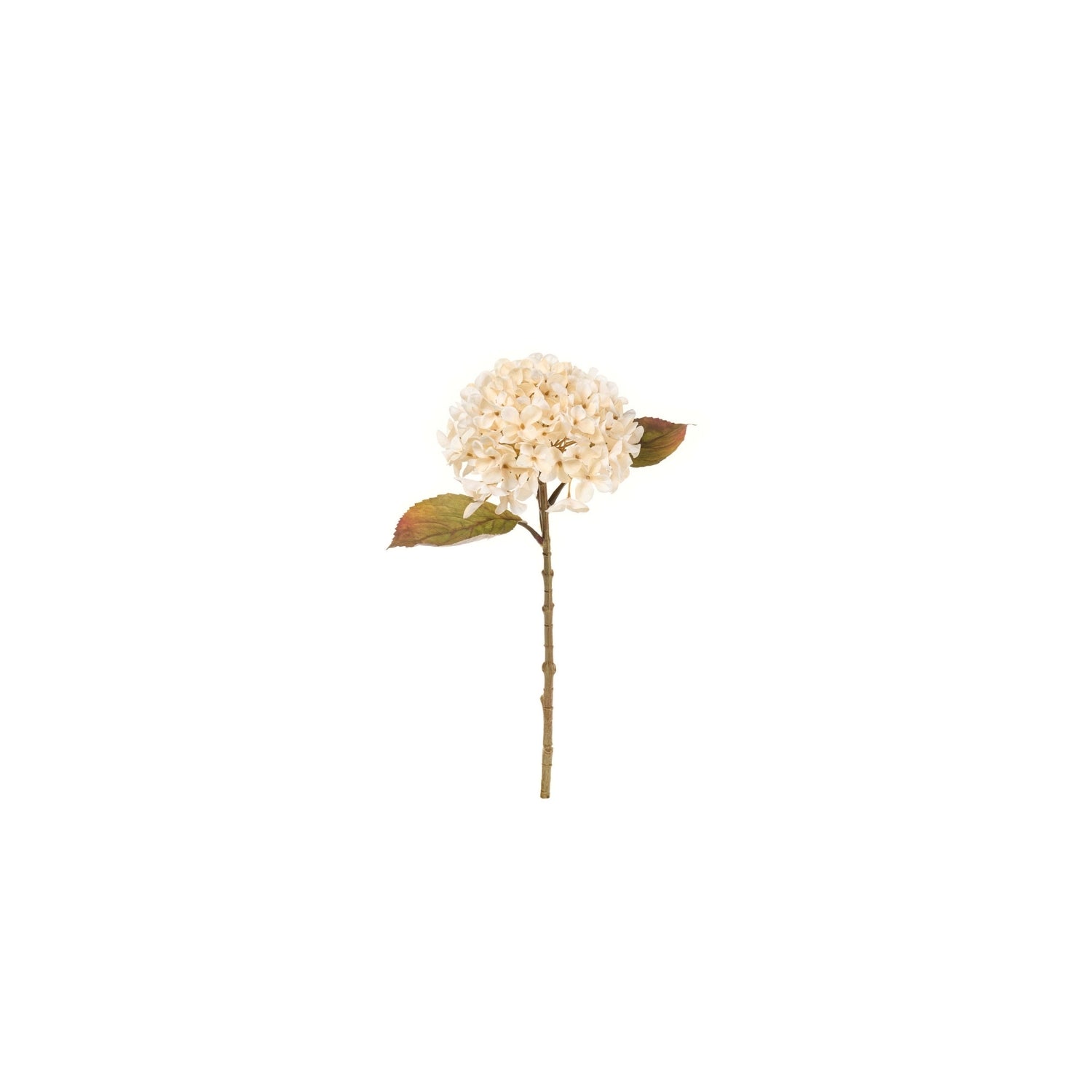 Nuvole di Stoffa - Ortensia Crema con foglie 45 cm
