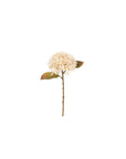 Nuvole di Stoffa - Ortensia Crema con foglie 45 cm