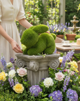coniglio EDG erba per giardino 
